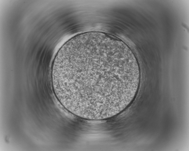 X0000102391200200808291416