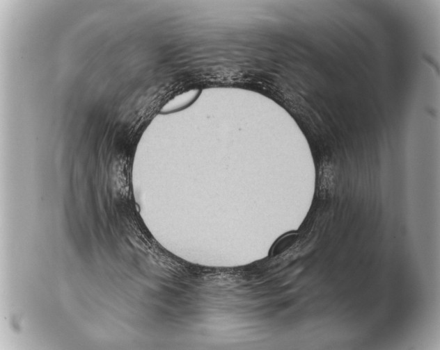 X0000102391202200808291416