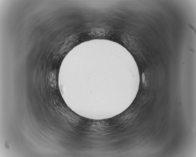 X0000102391203200808291416