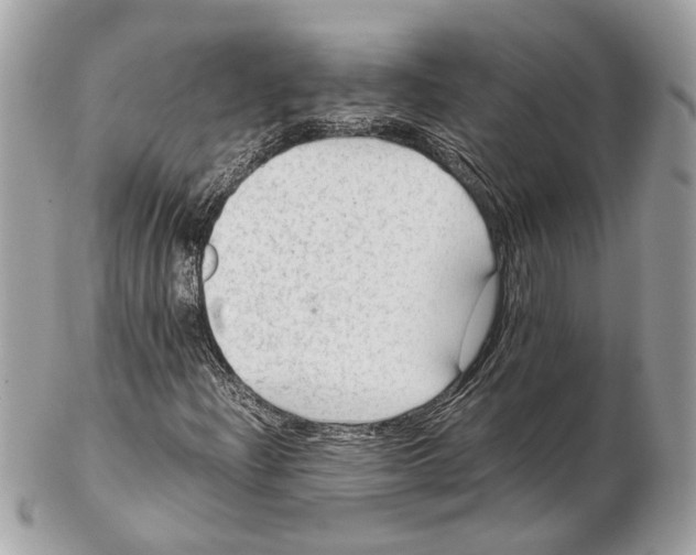 X0000102391204200808291416