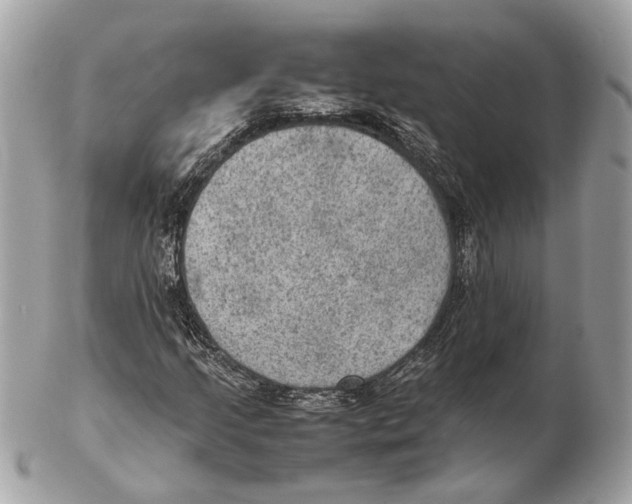 X0000102391205200808291416