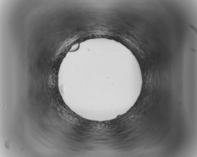 X0000102391207200808291416