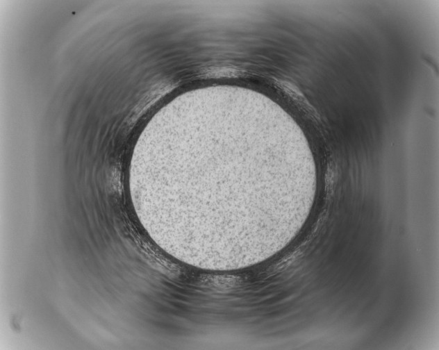 X0000102391209200808291416