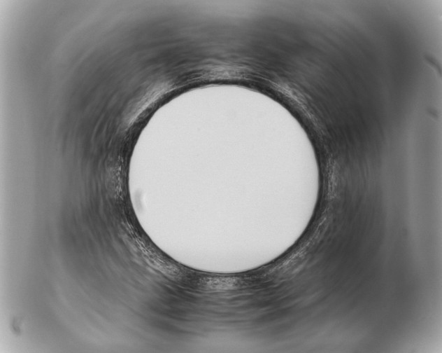 X0000102391211200808291416