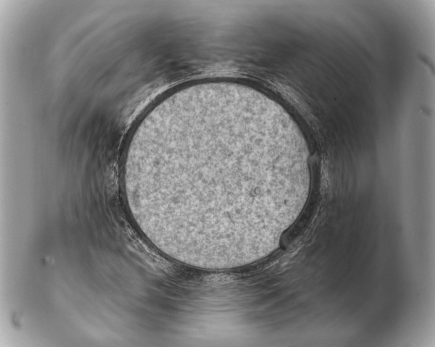 X0000102391212200808291416