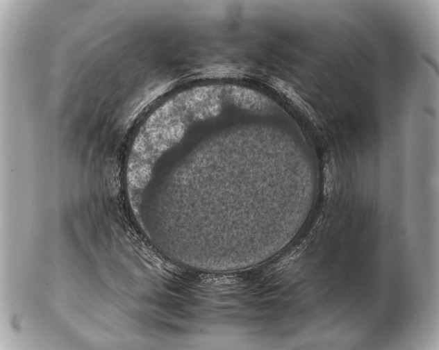 X0000102391213200808291416