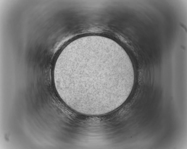 X0000102391214200808291416