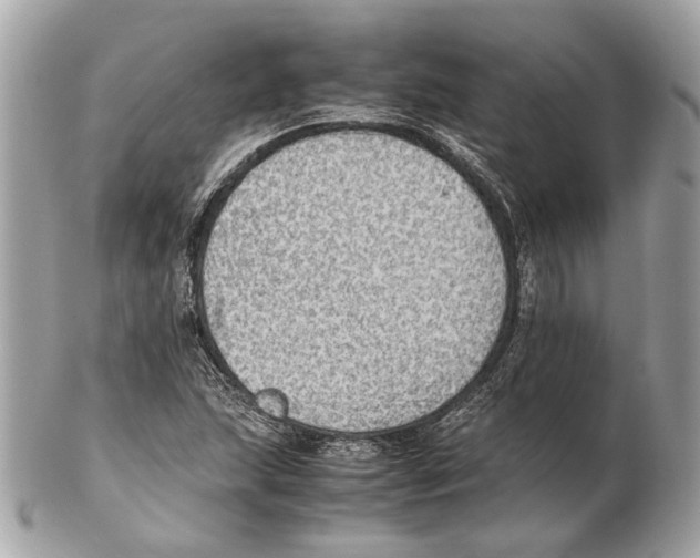 X0000102391215200808291416