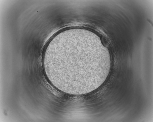 X0000102391216200808291416