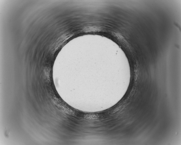 X0000102391217200808291416