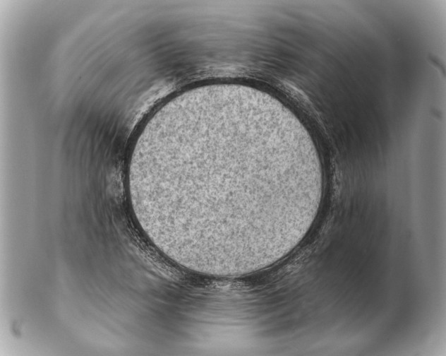 X0000102391218200808291416