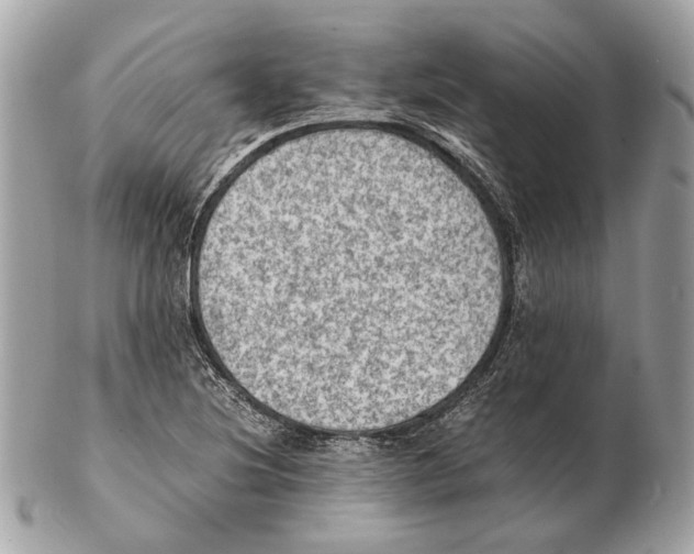 X0000102391220200808291416