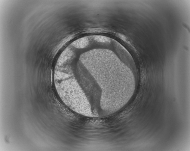 X0000102391221200808291416