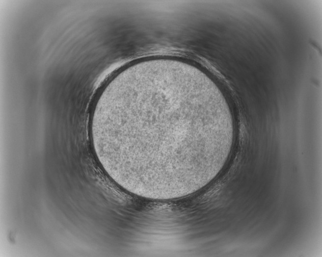 X0000102391222200808291416