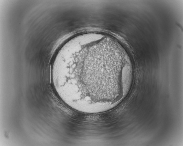X0000102391223200808291416