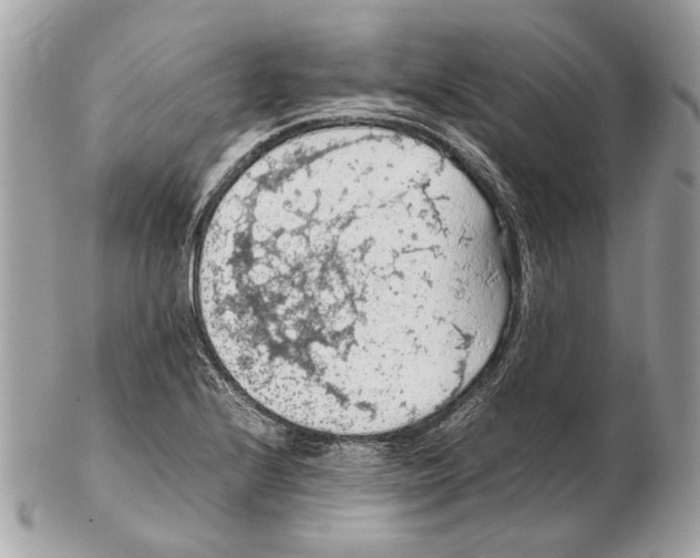 X0000102391224200808291416