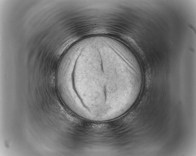 X0000102391225200808291416