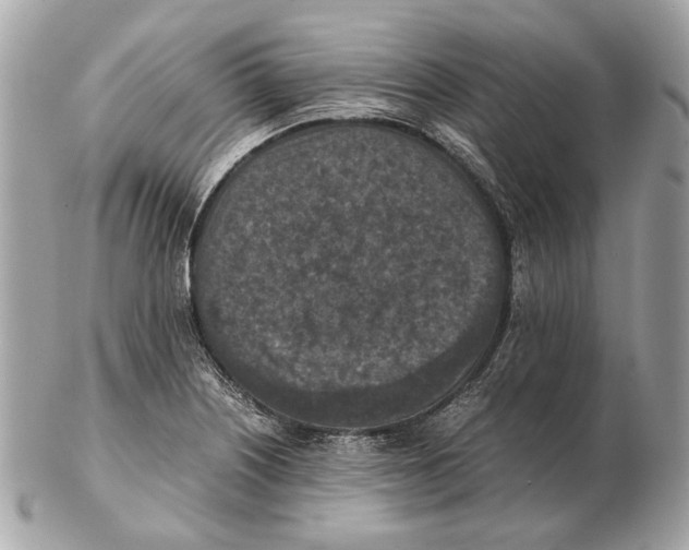 X0000102391226200808291416