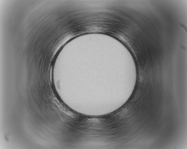 X0000102391227200808291416