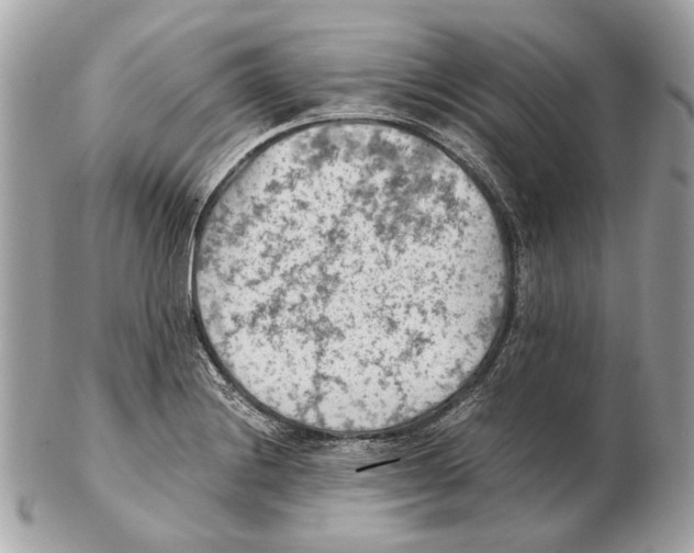 X0000102391228200808291416