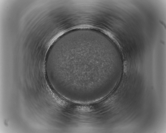 X0000102391229200808291416