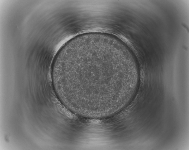 X0000102391230200808291416