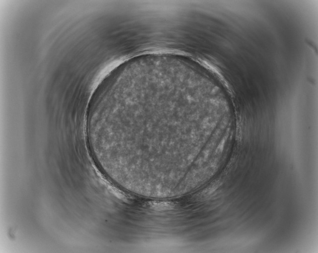 X0000102391231200808291416