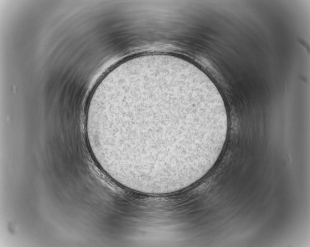 X0000102391232200808291416