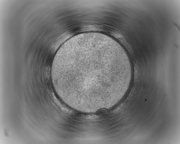 X0000102391233200808291416