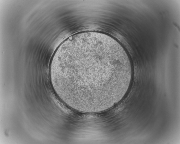 X0000102391234200808291416