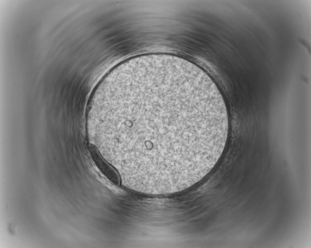 X0000102391236200808291416