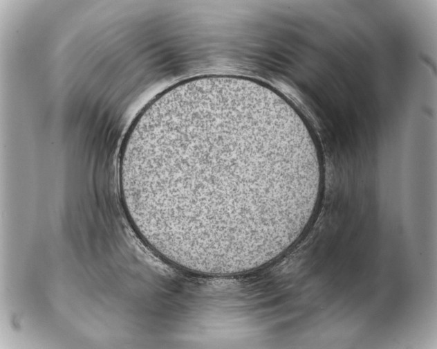 X0000102391238200808291416