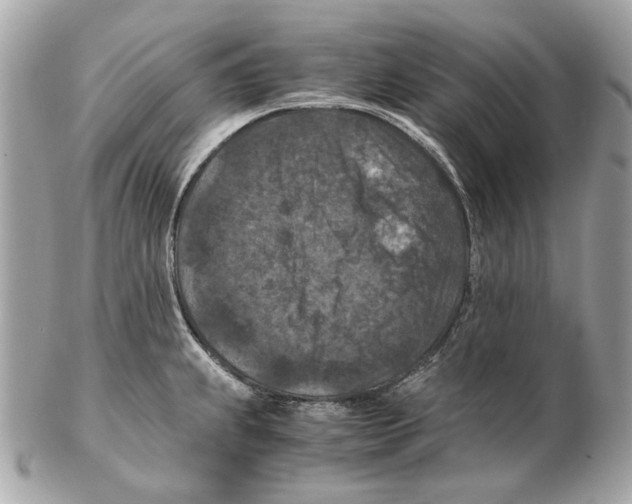 X0000102391239200808291416
