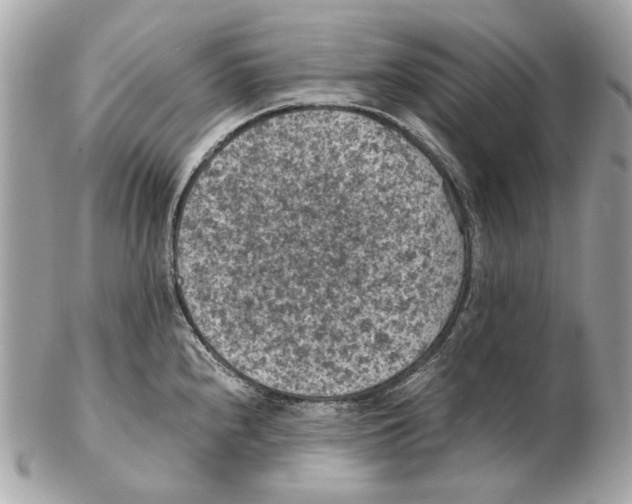 X0000102391240200808291416
