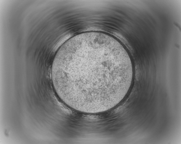 X0000102391241200808291416