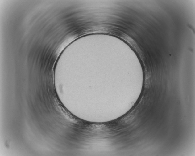 X0000102391242200808291416