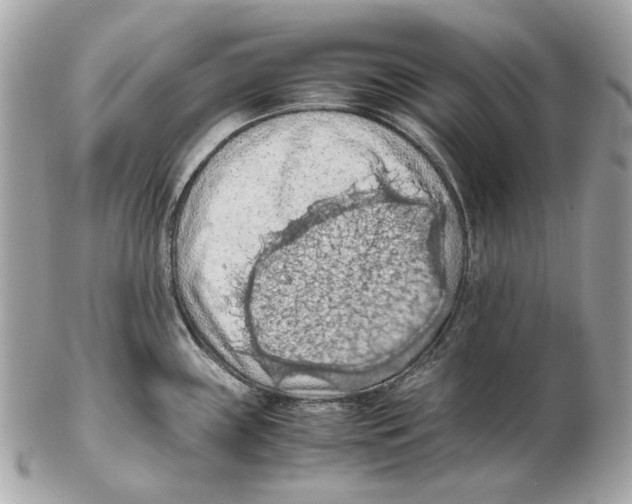 X0000102391243200808291416