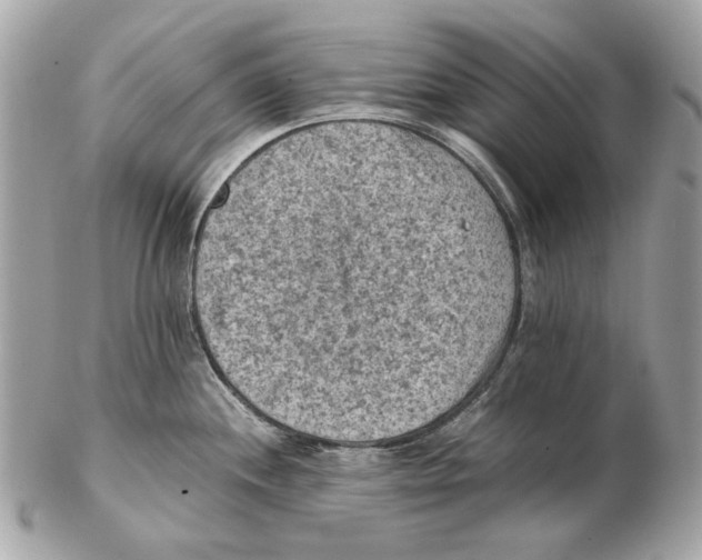 X0000102391244200808291416
