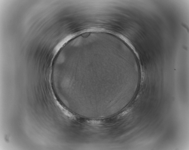 X0000102391245200808291416