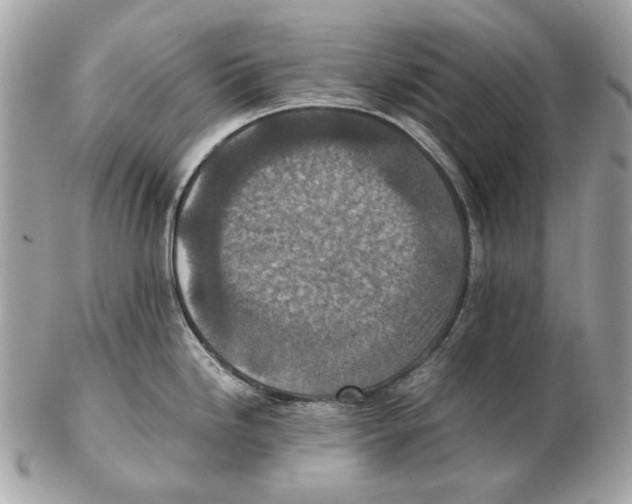 X0000102391246200808291416