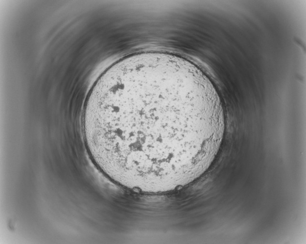 X0000102391247200808291416