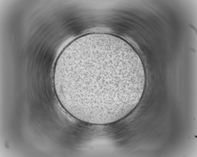 X0000102391248200808291416