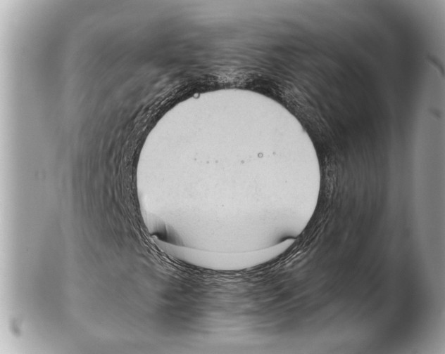 X0000102391249200808291416