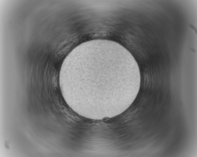 X0000102391250200808291416