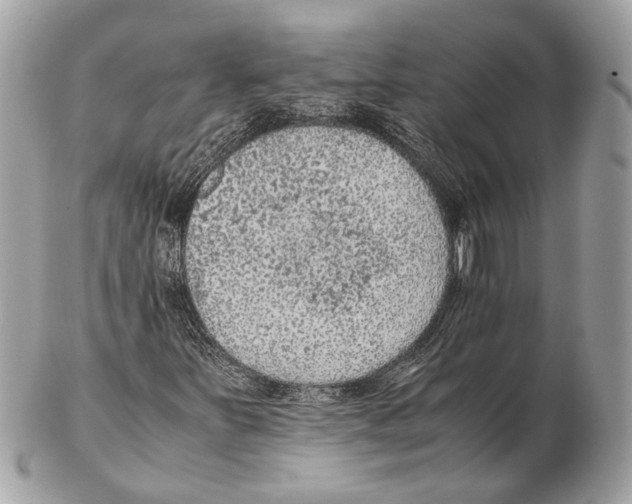 X0000102391251200808291416