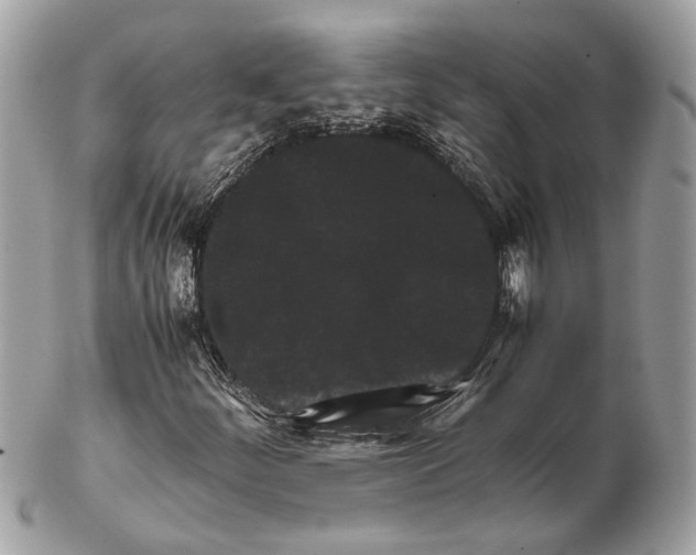 X0000102391252200808291416