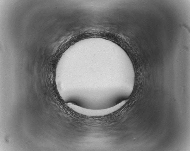 X0000102391253200808291416