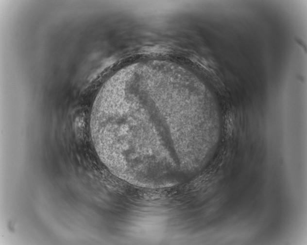 X0000102391254200808291416