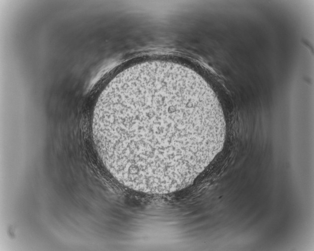 X0000102391255200808291416