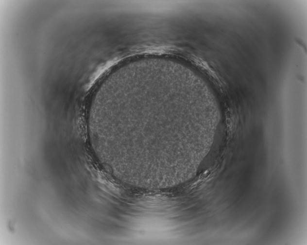 X0000102391256200808291416